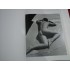 ANDRE DE DIENES - STUDIES OF THE FEMALE NUDE - ALBUM FOTO